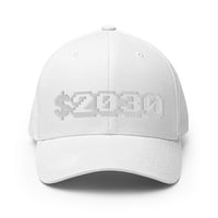 Image 1 of "$2030" Flex-Fit twill cap