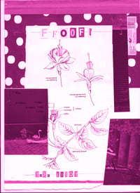 #FF00FF zine