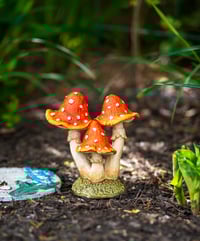 Image 2 of Pixie Perch Trio