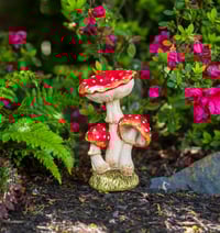 Image 1 of Toadstool Bouquet
