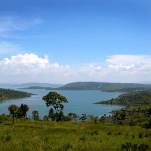 Image of Café du moment - Congo