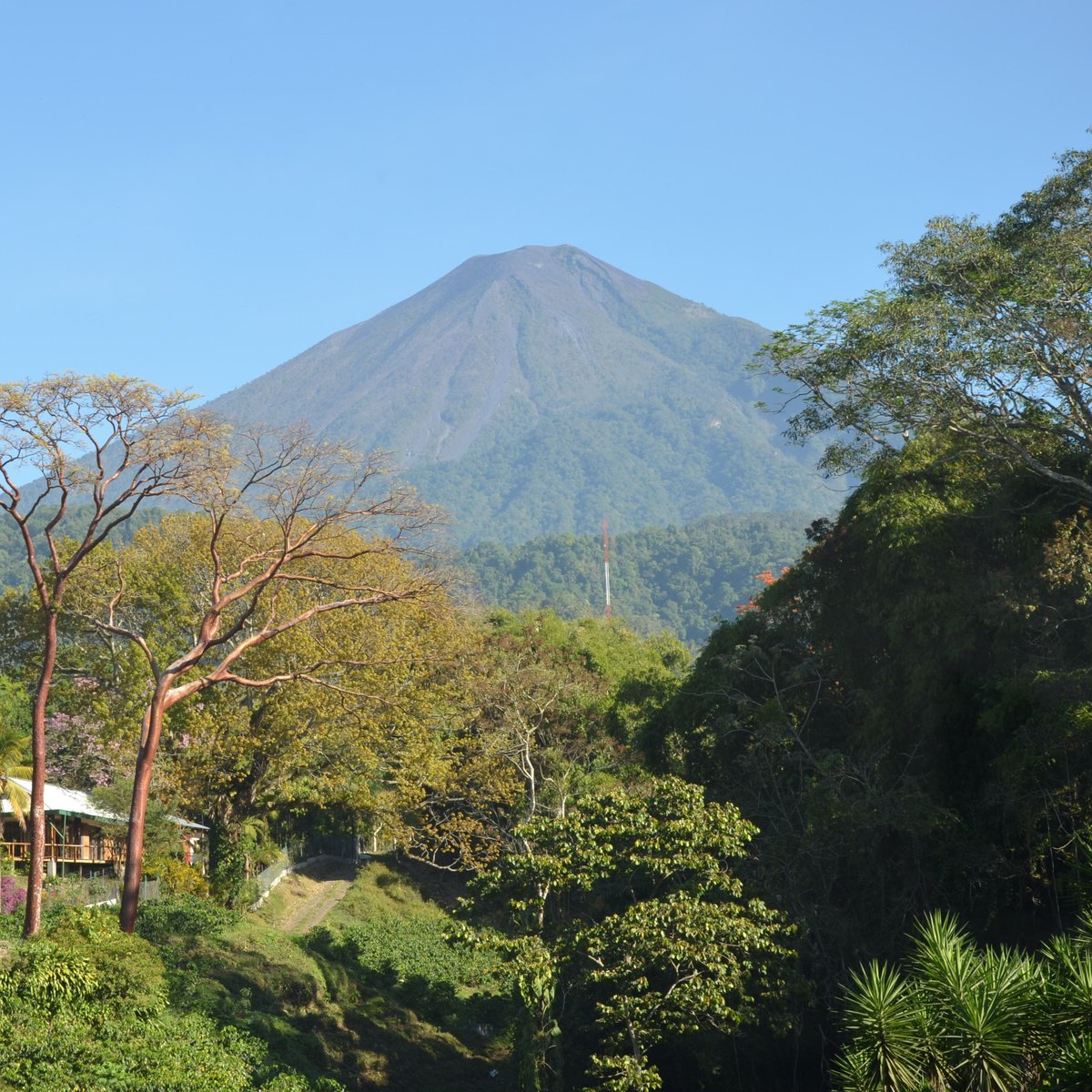 Image of Café du moment - Guatemala