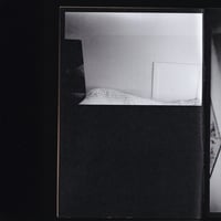 Image 3 of Dog Walk - Jake McGuinness