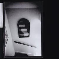 Image 4 of Dog Walk - Jake McGuinness