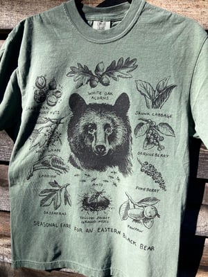 Image of FORAGING BLACK BEAR [t-shirt]