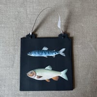 Fish Illustrated Wall Tile 