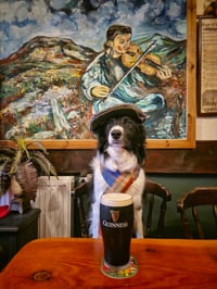 Flat cap and Guinness. 