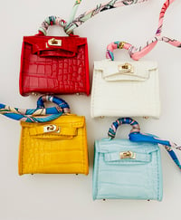 Image 1 of Alligator Mini Bags