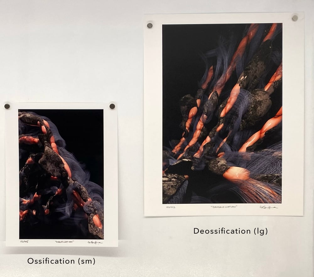 Image of De/Ossification Print