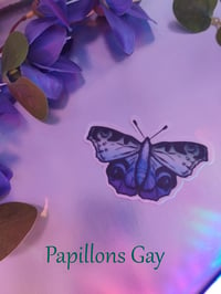 Image 4 of Sticker Papillons LGBT+