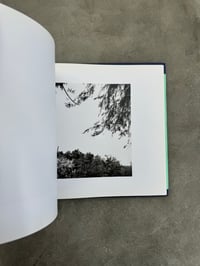 Image 3 of The Pond - John Gossage