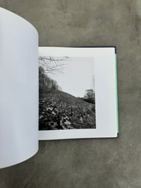 Image 7 of The Pond - John Gossage
