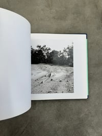 Image 11 of The Pond - John Gossage