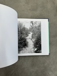 Image 12 of The Pond - John Gossage