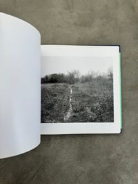 Image 14 of The Pond - John Gossage