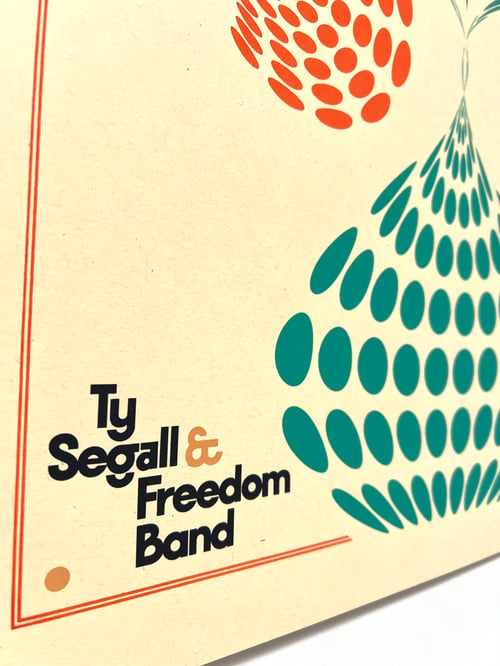 Image of Ty Segall & Freedom Band 2021