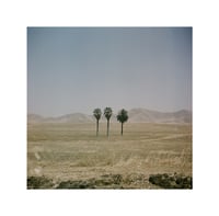 Image 1 of Print "3 Pal(m)s"