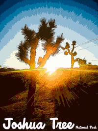 Image 1 of Joshua Tree Sunrise Poster