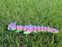 Image 1 of Baby Kaida Dragon