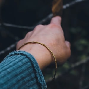 Image of Brass twig bangle