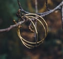 Brass twig bangle