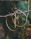 Brass twig bangle