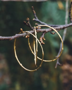 Image of Brass twig bangle