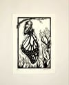Monarch