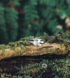 Labradorite leaf ring