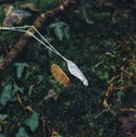 Sycamore seed necklace 