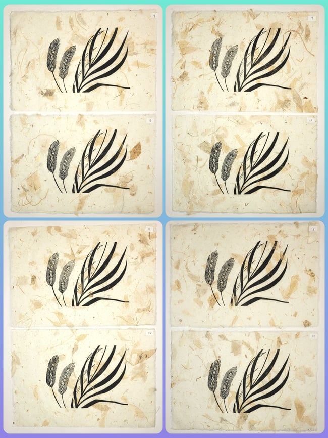 Seconds - miss prints, flawed