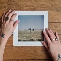 Image 2 of Print "3 Pal(m)s"