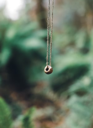 Image of Bronze hagstone necklace