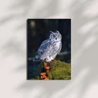 Image 1 of Karte "Kanadauhu"