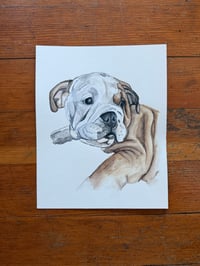 Image 3 of Custom Pet Portrait
