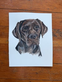 Image 4 of Custom Pet Portrait