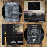 REGNUM TENEBRARUM / HERTOGENWALD Sinistres Fagnes split LP