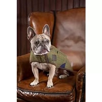 Image 1 of Digby & Fox Tweed Dog Coat