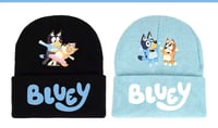 Image 4 of Bluey bundle 