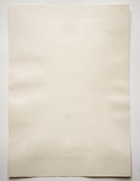 Image 4 of Piccolo monotipo su Carta- Vaso con fiori n.38