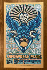 Widespread Panic 6/8-9/2013