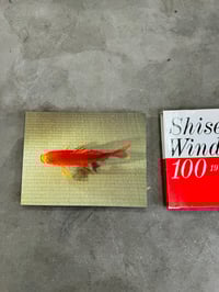 Image 2 of Shiseido Window Art 1963-93 - Kuni Onizawa / Makoto Nakamura