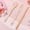 Image of 【LIMITED】Shoujo Lunch Set