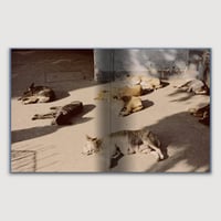 Image 9 of Genesis Juan Brener Special edition (Signed)