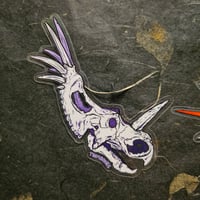 Image 5 of Dinosaur Skulls - Herbivores - High Quality Clear Vinyl Stickers - Choose Your Own!