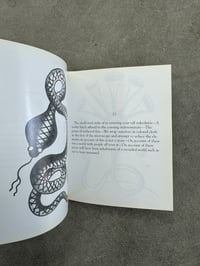 Image 5 of The Doomsday Bonnet - Daniel Higgs