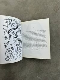 Image 10 of The Doomsday Bonnet - Daniel Higgs
