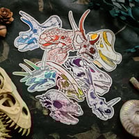 Image 1 of Dinosaur Skulls - Herbivores - High Quality Clear Vinyl Stickers - Choose Your Own!