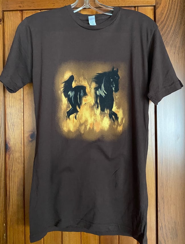 50% OFF The Besnard Lakes Are the Dark Horse T-shirt (XS and Small only)