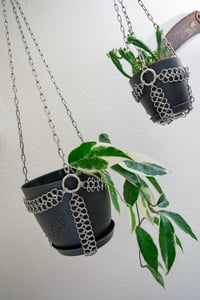 Image 1 of Hellbent Chainmaille plant hanger 